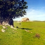 J G Angus Ranch