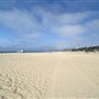 Santa Monica State Beach (SB) / Pacific Park Santa Monica Pier