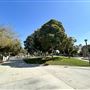 Clover Park