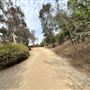 Culver City Park Bill Botts Field