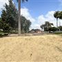 Edward Vincent Park