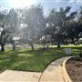 Edward Vincent Park