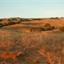 Crane Creek Regional Park