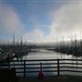 Spud Point Marina