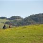 Taylor Mountain Regional Park