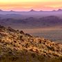 Providence Mountains State Recreation Area (SRA) / Mitchell Caverns