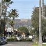 Hollywood Forever Cemetery