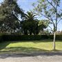 Hollywood Forever Cemetery