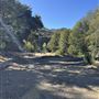Camp Williams Resort