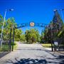 Gold Country Fair - 20th DAA