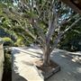 Los Angeles River Center & Gardens - Santa Monica Mountains Conservancy - SMMC
