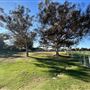 Cheviot Hills Park