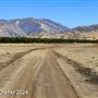 Tejon Ranch
