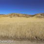 Tejon Ranch