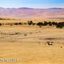 Tejon Ranch