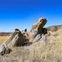 Tejon Ranch