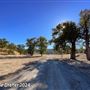 Tejon Ranch