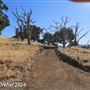 Tejon Ranch