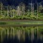 Humboldt Lagoons State Park (SP) / Big Lagoon, Stone Lagoon, Dry Lagoon & Freshwater Lagoon