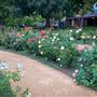 CARD Community Center/Creekside Rose Garden