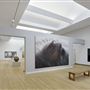 Crocker Art Museum