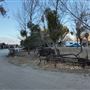 Twin Pines Ranch