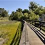 Anderson Marsh State Historic Park (SHP)
