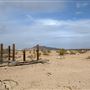 Road Runner's Retreat