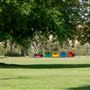 Coyote Ranch