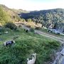 Long Creek Ranch