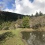 Long Creek Ranch