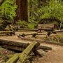 Armstrong Redwoods State Natural Reserve (SNR)