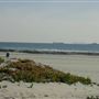 Coronado City Beach