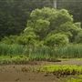Austin Creek State Recreation Area (SRA)