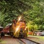 Skunk Train - California Western Railroad