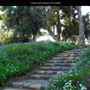 Junipero Serra Museum