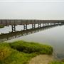 Bolsa Chica Ecological Reserve - California Department of Fish & Wildlife (CDFW)