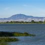 Brannan Island State Recreation Area (SRA)
