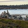 Carmel River State Beach (SB)