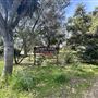 Lummis Home and Gardens