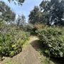 Lummis Home and Gardens