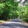 One Mile Recreation Area (AKA Sycamore Pool)
