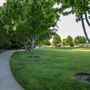 Baroni Park