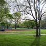 Hooker Oak Park