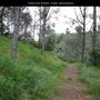 Presidio Park