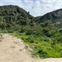 DAM Ranch