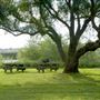 Brannan Island State Recreation Area (SRA)