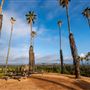 California Citrus State Historic Park (SHP)