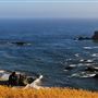 Arched Rock Beach (Sonoma Coast State Park)