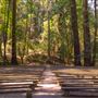 Armstrong Redwoods State Natural Reserve (SNR)